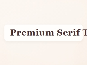 Elegant Serif Typography for Luxurious Bridal Stationery